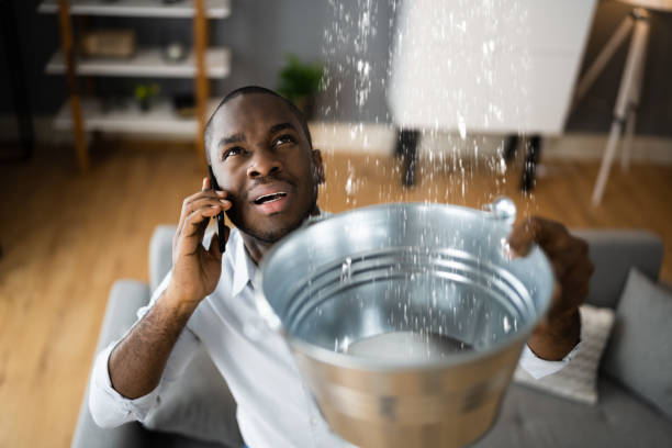 Best Water damage restoration services  in Patrick Springs, VA