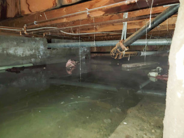 Best Emergency water damage restoration  in Patrick Springs, VA