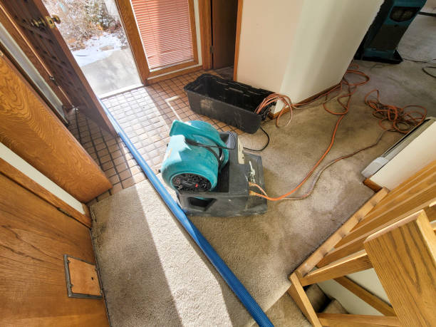 Best Basement water damage restoration  in Patrick Springs, VA