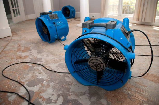 Best Flood damage cleanup  in Patrick Springs, VA