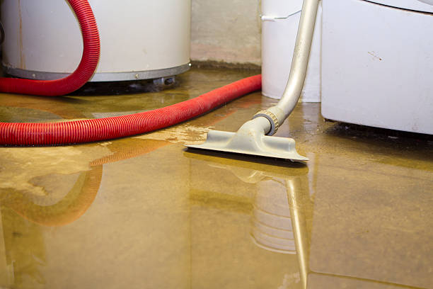 Best Emergency water damage restoration  in Patrick Springs, VA